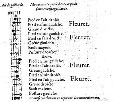 Gaillarde fleuret